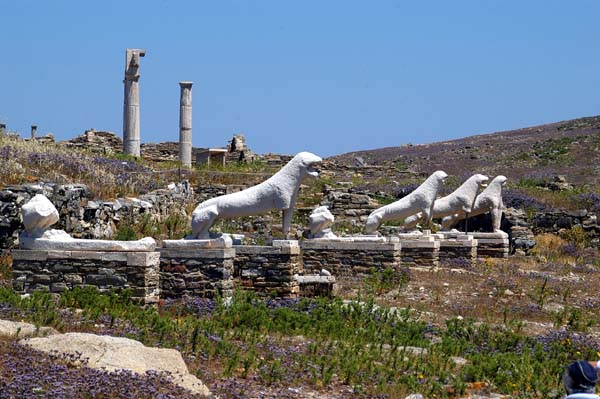 Terrace of the Lions, Delos