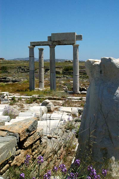 Institution of the Poseidoniasts, Delos