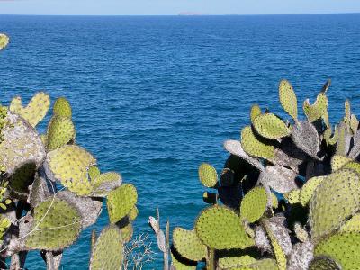 Galapagos Landscapes