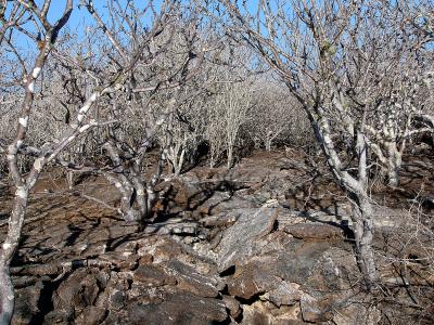 Galapagos Landscapes