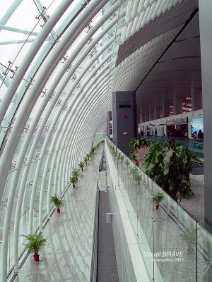 New Baiyun Airport  DSC04574.jpg