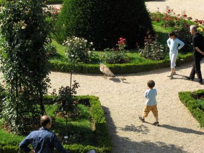 Parc de Bagatelle, Bois de Boulogne