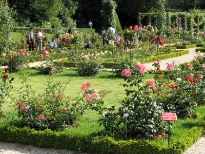 Parc de Bagatelle, Bois de Boulogne