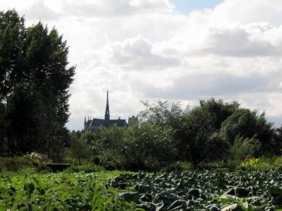 Amiens: Hortillonages