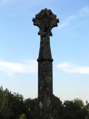 u47/brianogilvie/medium/34084205.beauregard___06.jpg