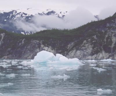 glacier bay- ice in the muir inlet