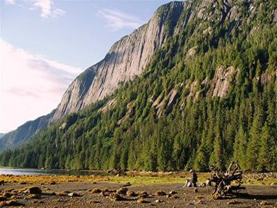 misty fiords punchbowl cove martina