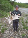 glacier bay- moose antler