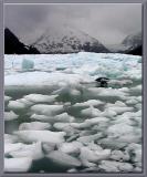 Icy Summer Lake at Portage Glacier 2004