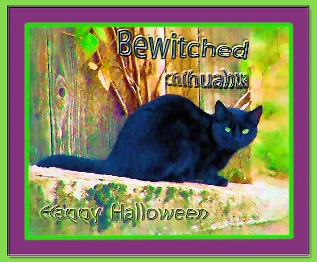 Bewitched 2004