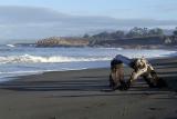 Cambria - Moonstone Beach 1