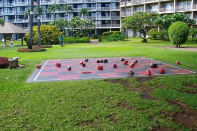 u47/bruce_j/medium/30103619.CheckersHawaiianStyle04.jpg