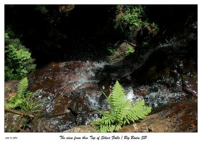 View at the top of Silver Falls