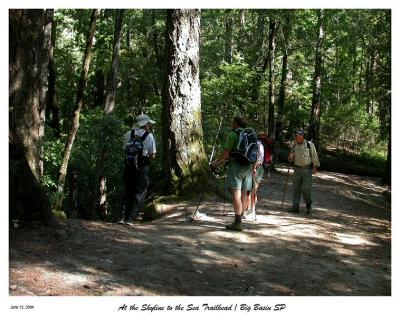 June 12 - Hike at Big Basin SP