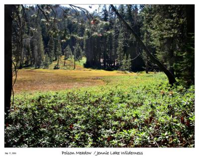 Poison Meadow - On the way to Jennie Lake