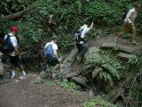 Group Xing Creek