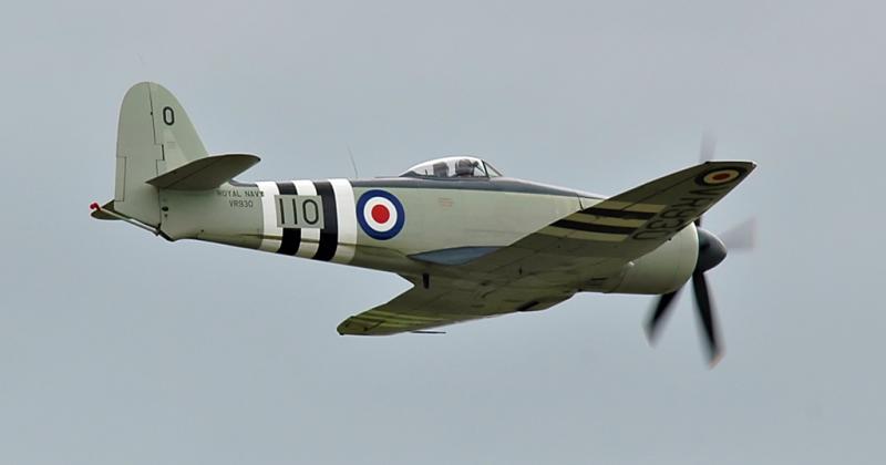 DSC_6269.jpg