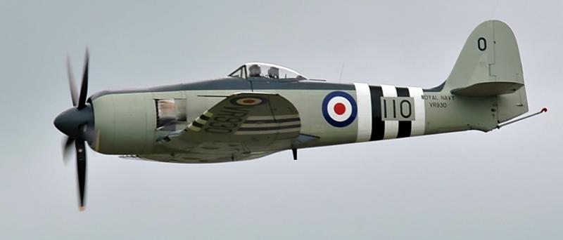 DSC_6273.jpg