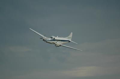 DSC_1590.JPG