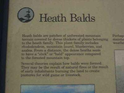 Balds what and why...
MP 364.1