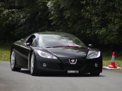 u47/burlsey/medium/30728230.Goodwood_FOS_2004_089.jpg