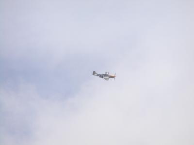 u47/burlsey/medium/30728254.Goodwood_FOS_2004_112.jpg