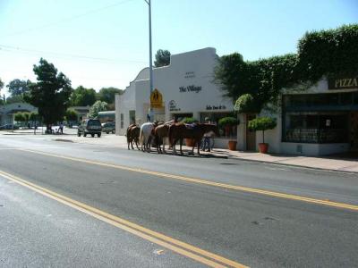 Ojai Coffee and Horses