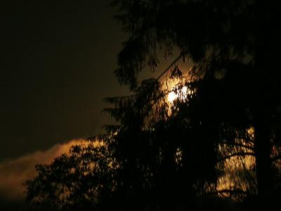 NIGHT SHOTS