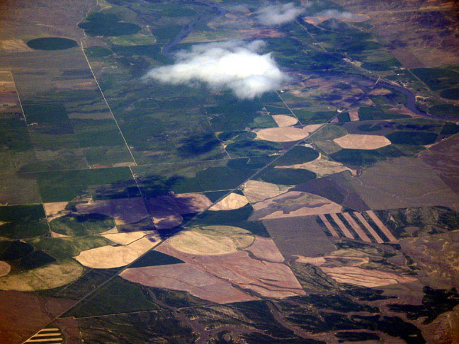 Circular patterns in agriculture.