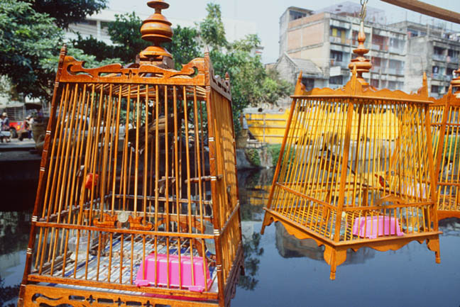 Bird cages along the klong.