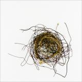 Nest