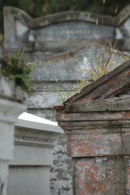 Grave 5