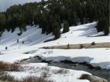 Along Beartooth Highway