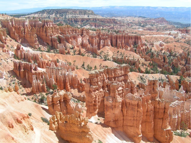 Bryce N.P.
