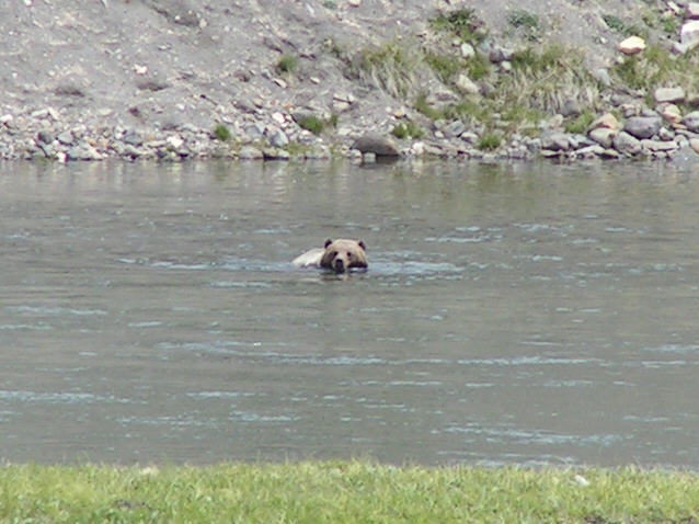 Crossing the river