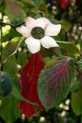 u47/chawkins/medium/34107722.IMG_3310.jpg