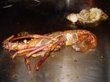 Lobster Teppanyaki