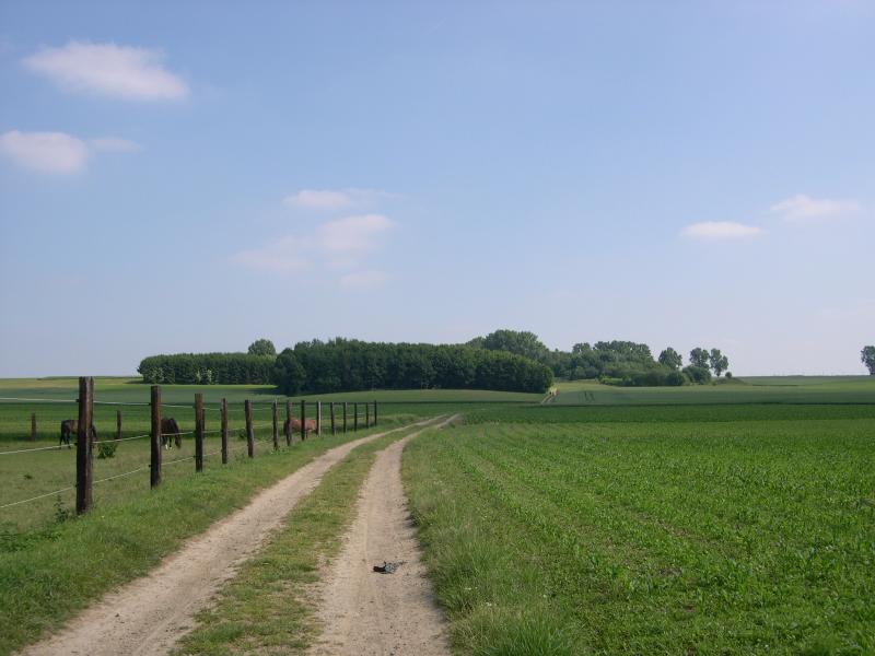 breisemveld.JPG