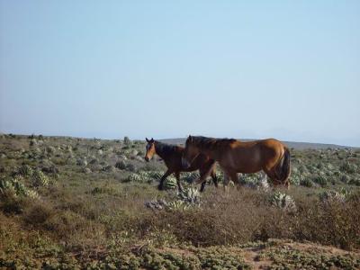 DSC10016.JPG