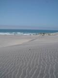DSC09971.JPG