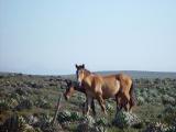 DSC10017.JPG