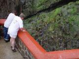 DSC09773.JPG