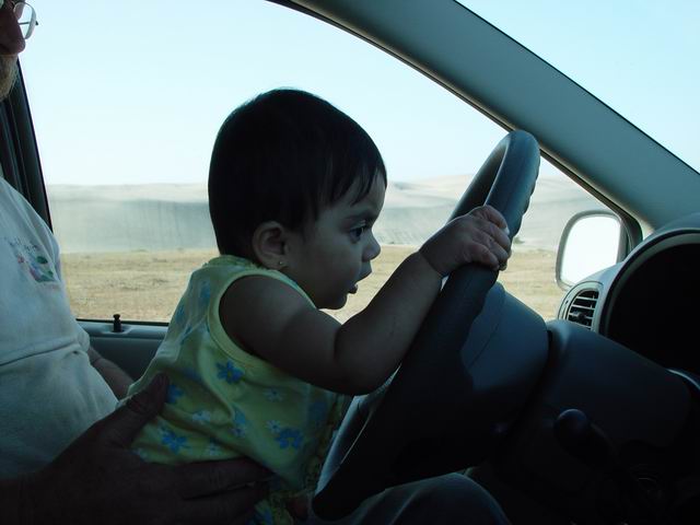 DSC10011.JPG