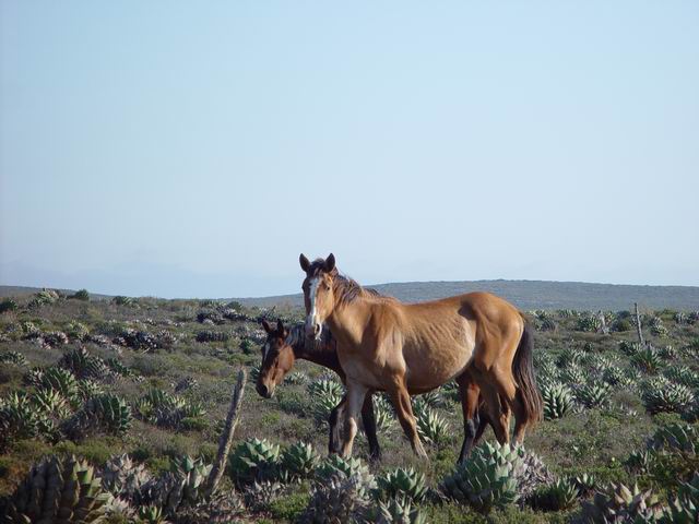 DSC10017.JPG