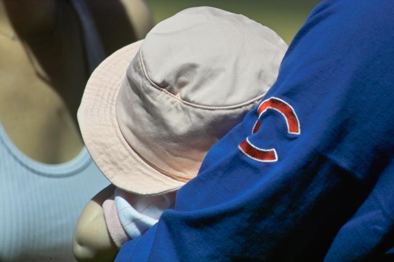 The Cubs