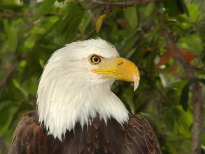 Zoo-04.jpg