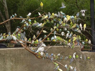 Zoo-06.jpg