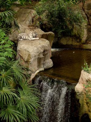 Zoo-09.jpg