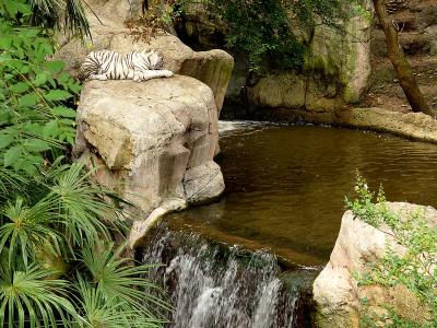 Zoo-10.jpg