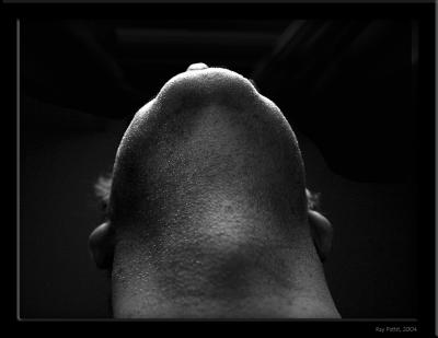 September 20 2004:  Looking Up